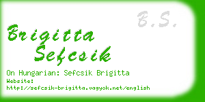 brigitta sefcsik business card